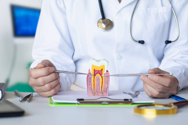 Best Emergency Treatment for Toothache in East Northport, NY